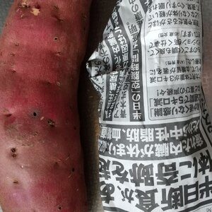 さつまいも収穫後の保存方法 レシピ 作り方 By W ソラ 楽天レシピ さつまいも収穫後の保存方法 レシピ 作り方 By W ソラ 楽天レシピ